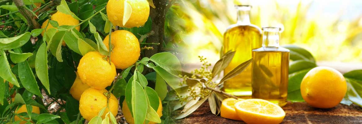 Lemon Essential Oil Natural Oil